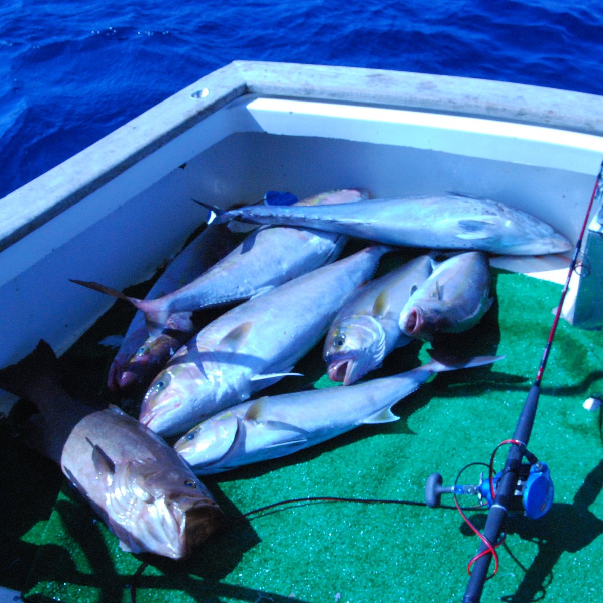 captain manolis fishing trips in rhodes