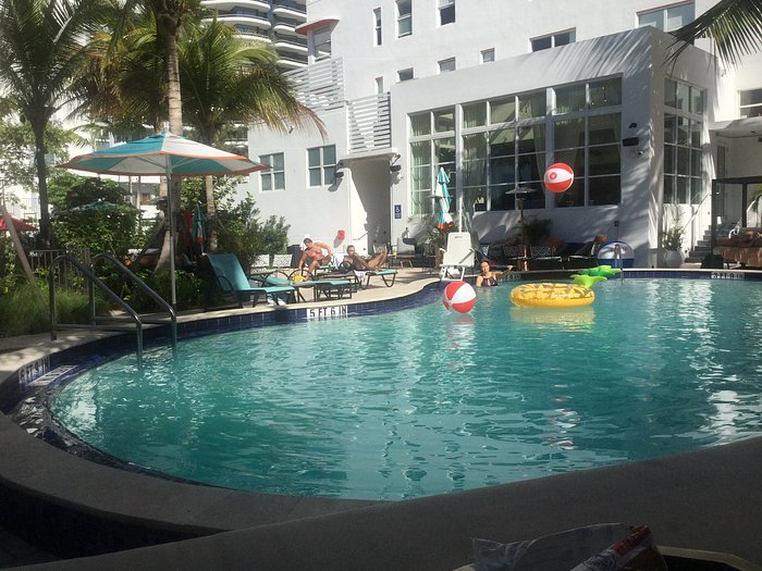 Generator Miami Pool Pictures & Reviews - Tripadvisor