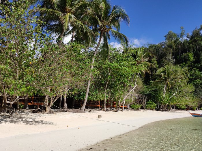 Harmony Bay Resort and Dive Center UPDATED 2024 Prices, Reviews