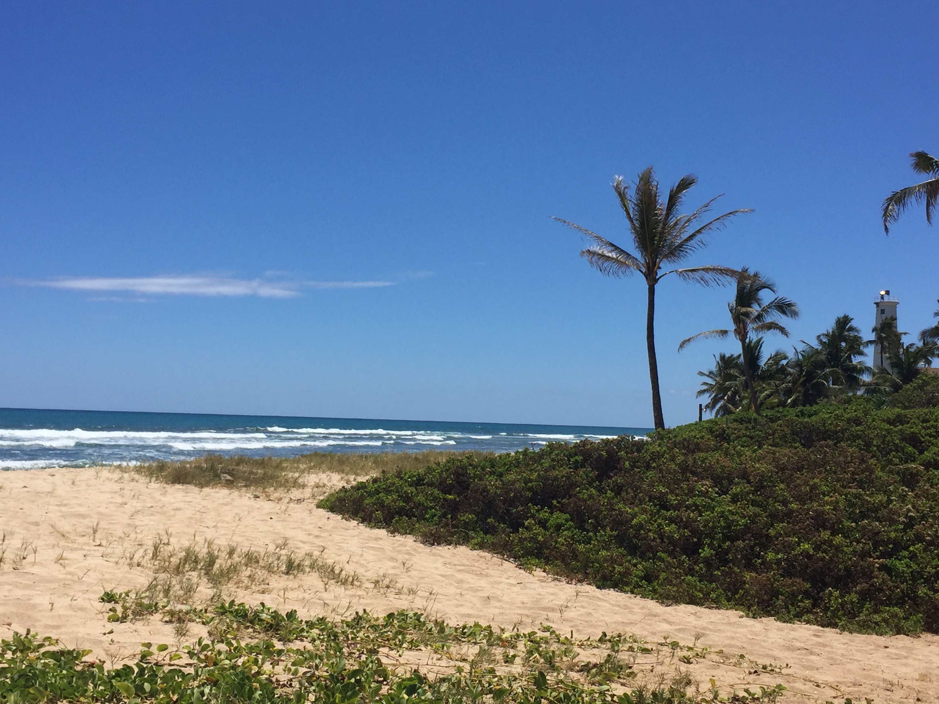 Barbers Point Beach Park - All You Need to Know BEFORE You Go (2024)