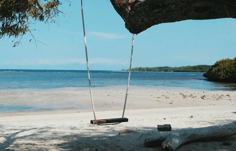 Pantai Bama Baluran: Keindahan Alam yang Menghadirkan