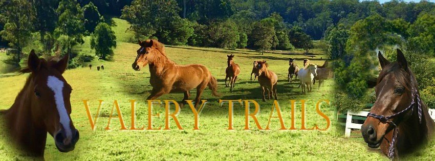 Valery Trails & Horse Riding Centre image