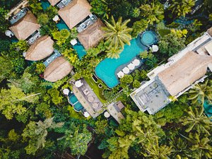 The Udaya Resorts & Spa in Ubud, image may contain: Outdoors, Vegetation, Building, Land