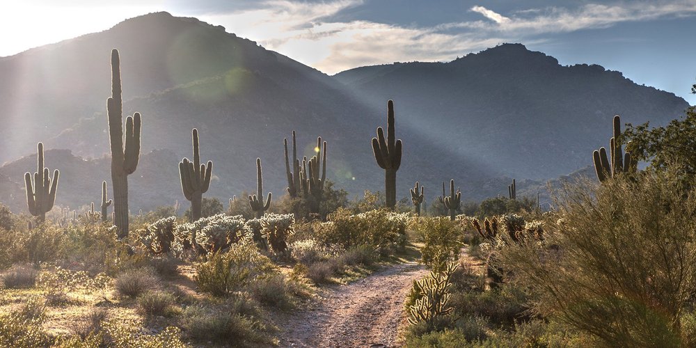Waddell, AZ 2023 Best Places to Visit Tripadvisor