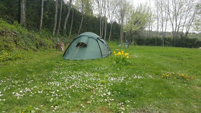 Imagen 3 de Camping Cortijo San Isicio