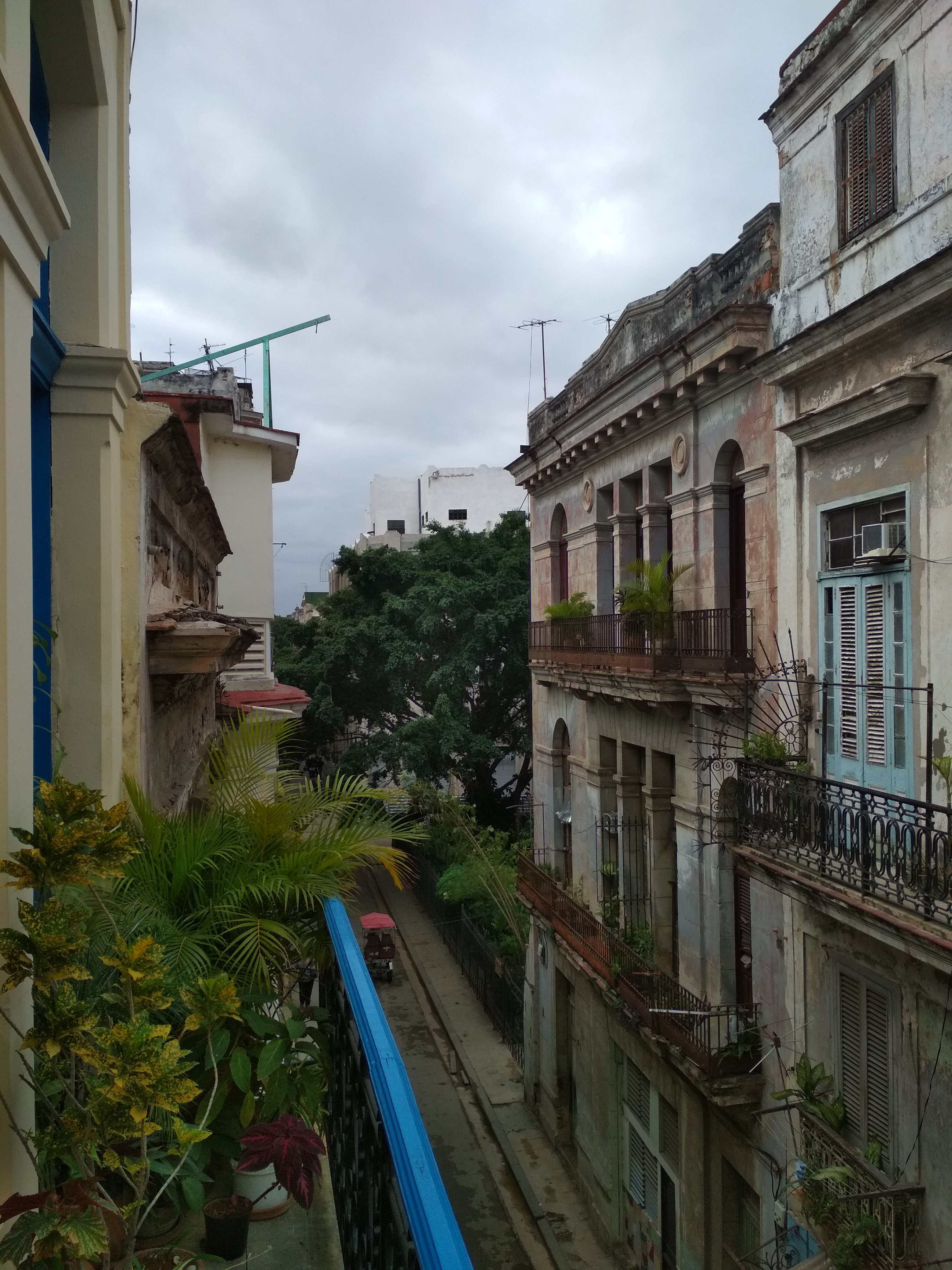 hostal habana vieja 55