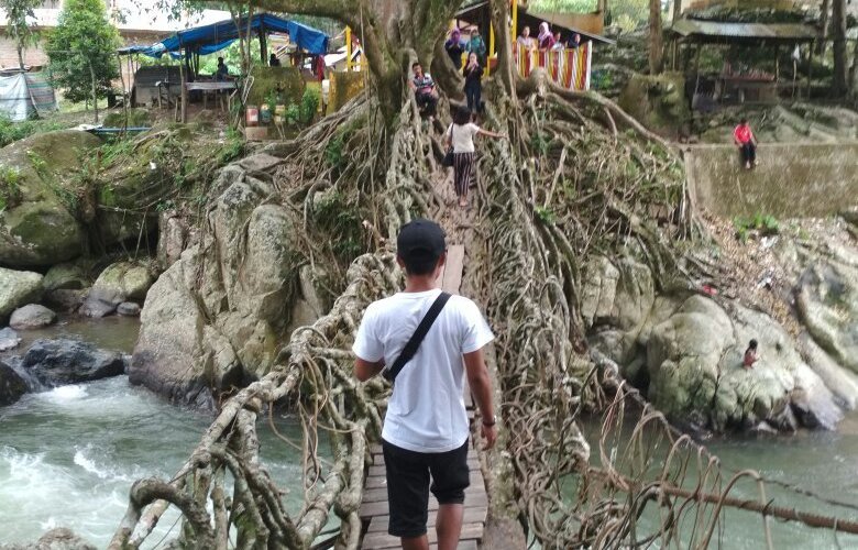 Trip Sumatra Jembatan Akar Sumatra barat.