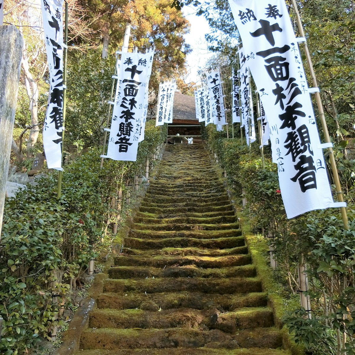 23年 苔の階段 行く前に 見どころをチェック トリップアドバイザー