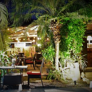 garden at night time