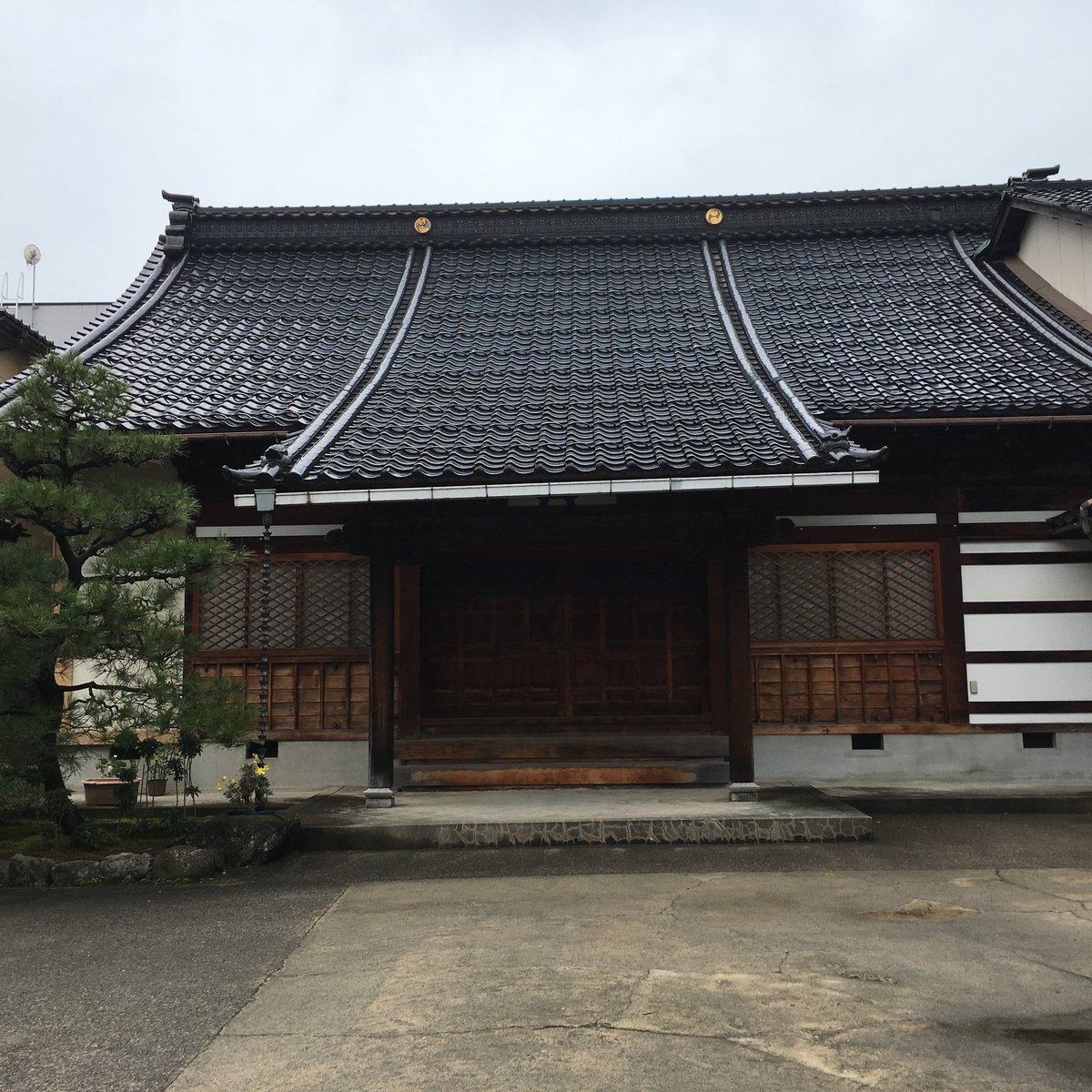 Kozen-ji Temple - All You Need to Know BEFORE You Go (2024)