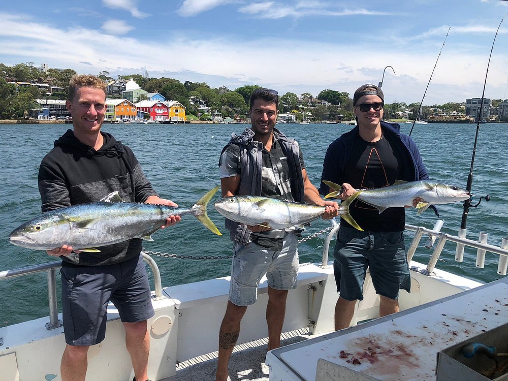 sydney spj fishing tours