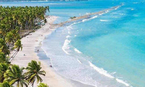 Praia dos Carneiros, em Tamandaré, Pernambuco!