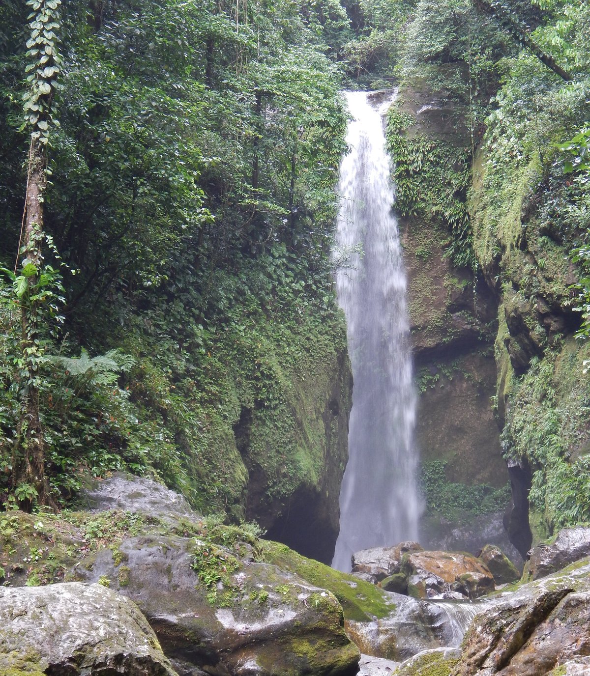 THE 15 BEST Things to Do in La Ceiba - 2022 (with Photos) - Tripadvisor