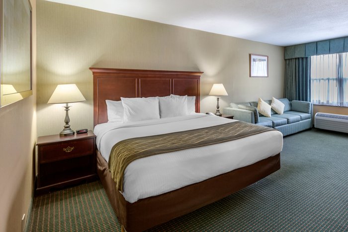 Clarion Inn Falls Church-Arlington Rooms: Pictures & Reviews - Tripadvisor