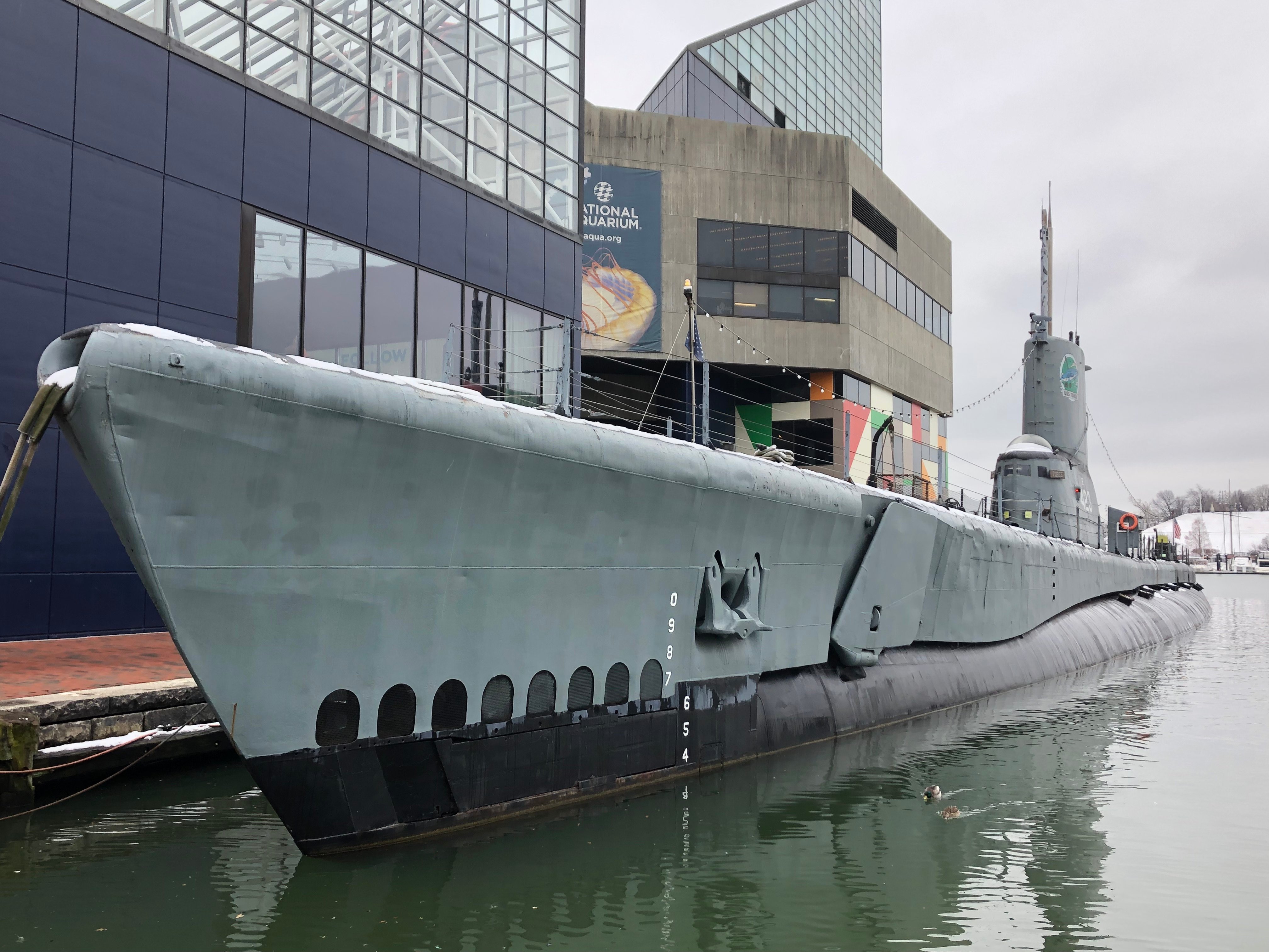 USS Torsk What to Know BEFORE You Go with Photos