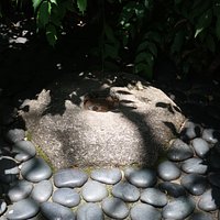 木漏れ日の中にある