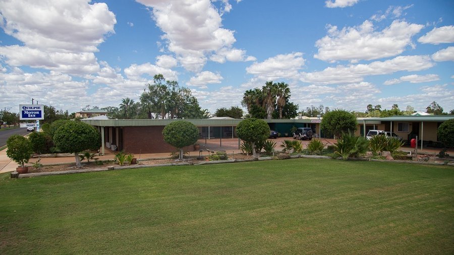 Kangaroos visit our lush grassy front yard most nights and love to shower under the sprinklers.