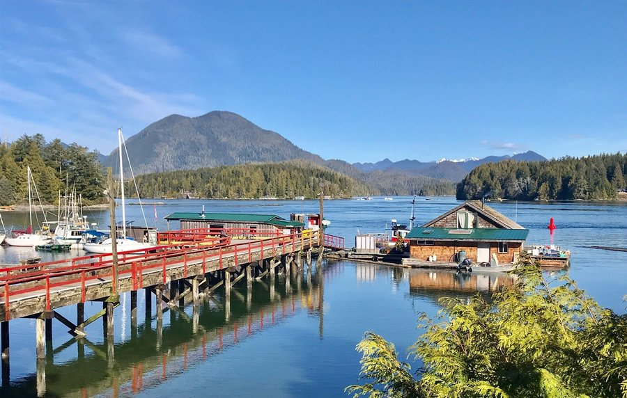 tofino tourism centre