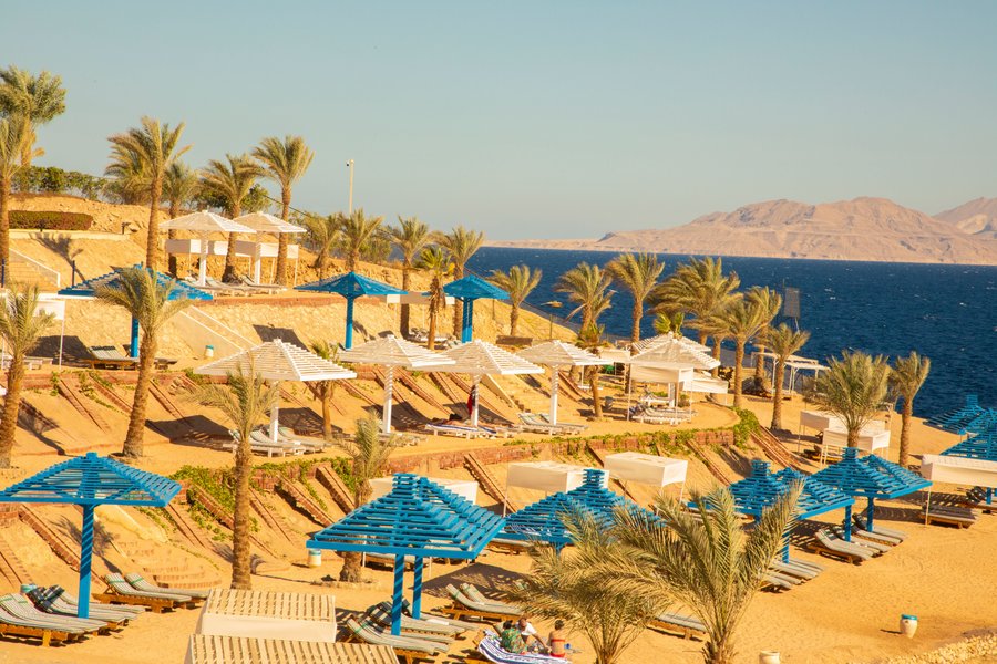 Grand Oasis Resort 48 7 0 Updated 2020 Prices Hotel Reviews Sharm El Sheikh Egypt Tripadvisor