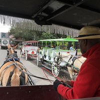 Royal Carriages tour of New Orleans