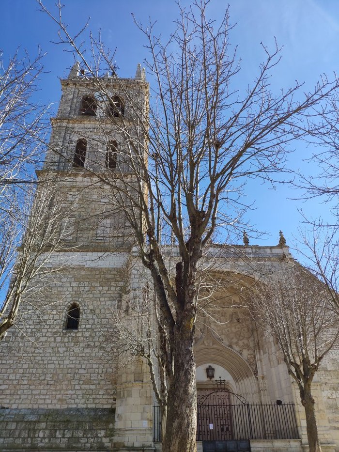 Imagen 2 de Abadía de San Isidro