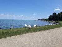 Klorid vizek. Az egyedülálló üdülőhelyek (szanatóriumok) általános listája Oroszországban