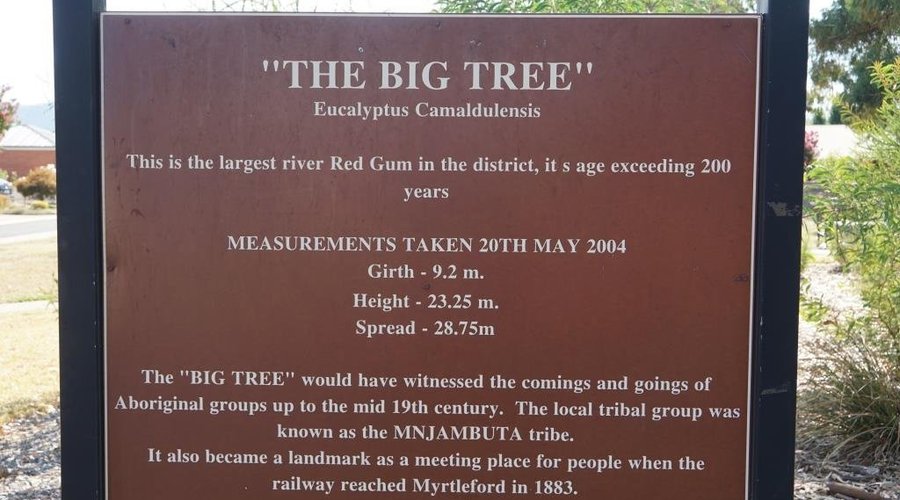 Interesting Information