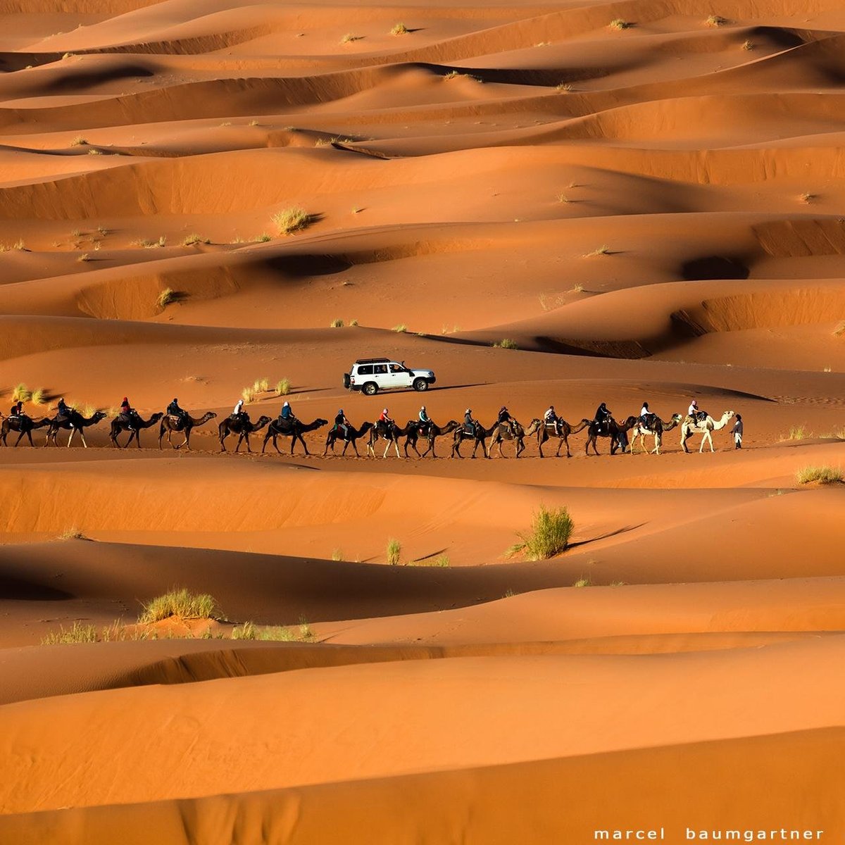 Merzouga Star Tours (Morocco): Address, Phone Number - Tripadvisor