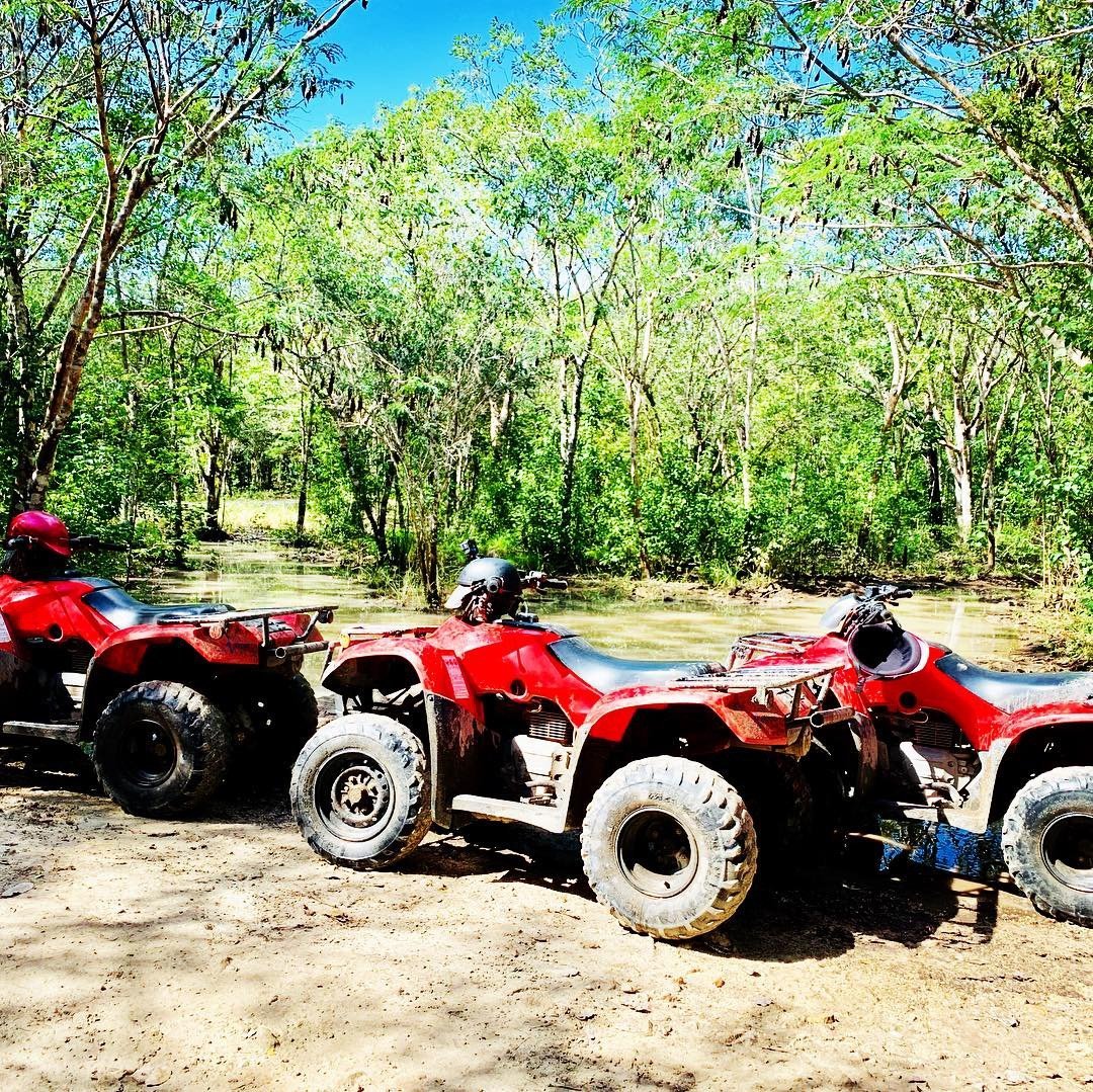 Atv Rentals