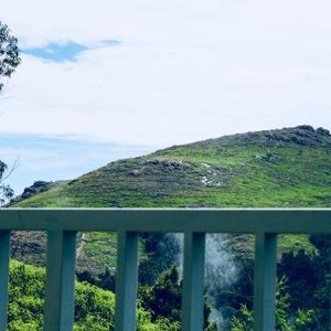 getlstd_property_photo