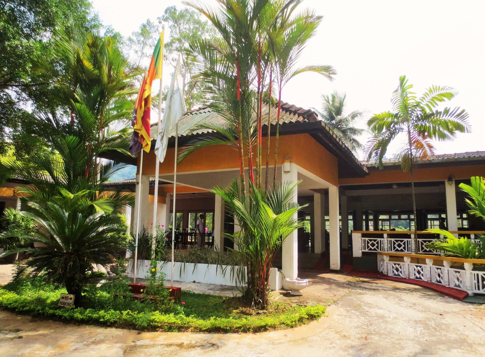 Rest House - Kitulgala image