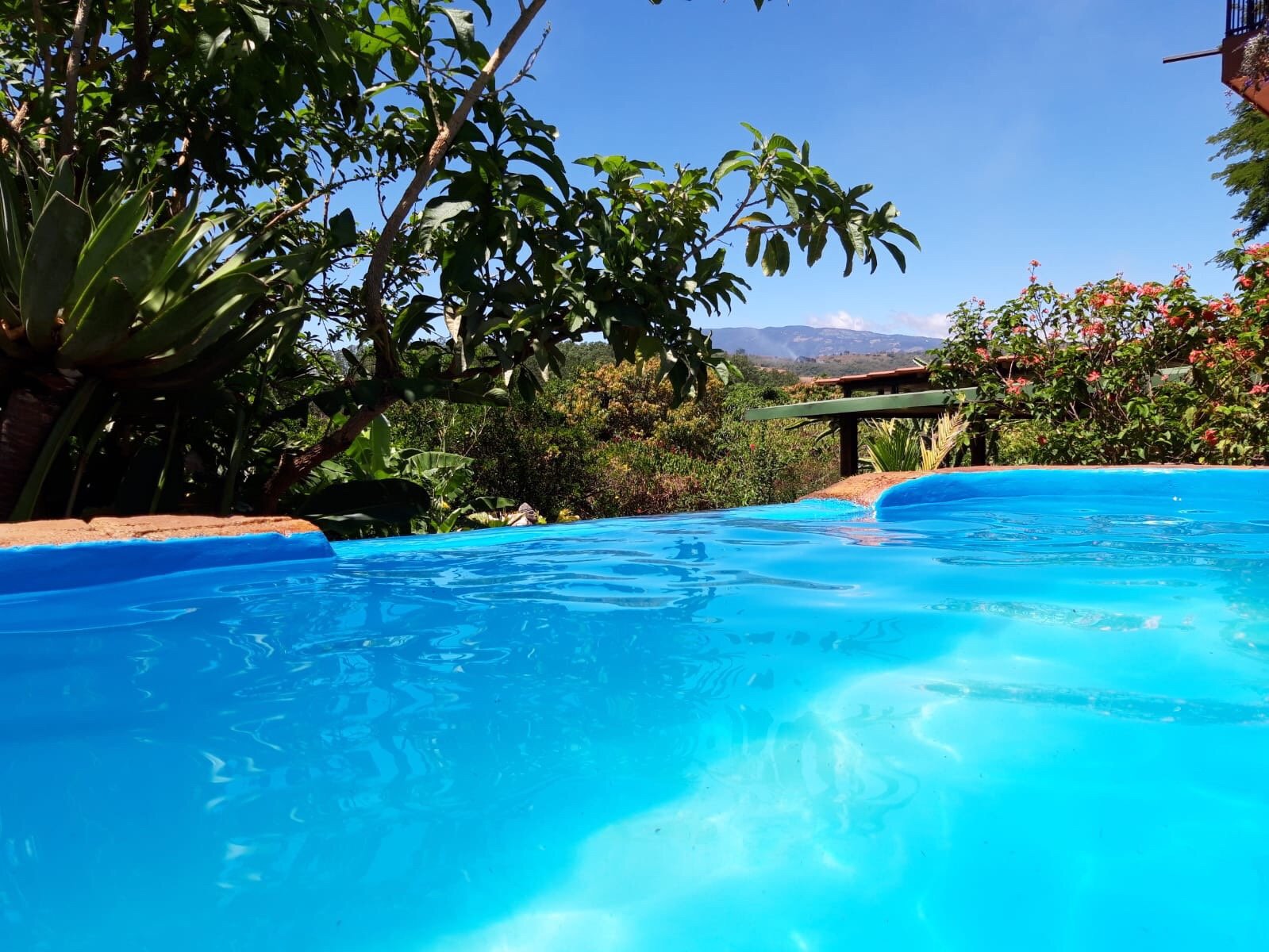 VISTA LINDA MONTAÑA - Prices & B&B Reviews (Costa Rica/Alajuela)