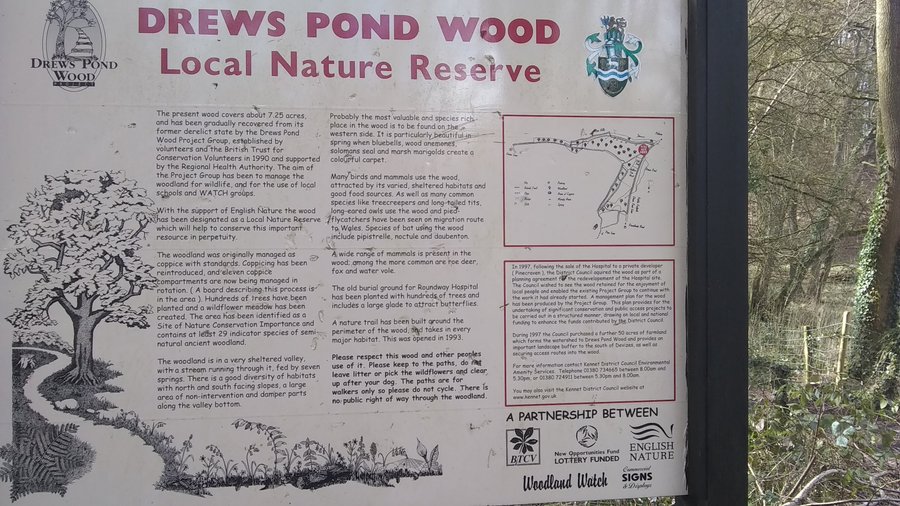 Drews Pond Wood