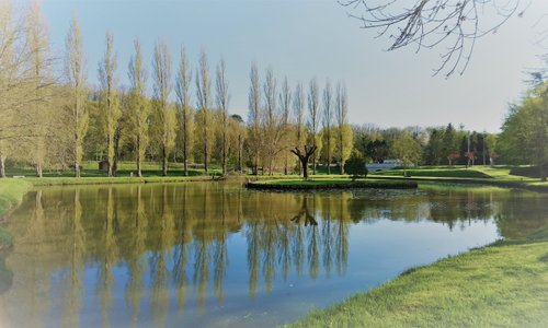 Plan d'eau, pêche gratuite à 200 mètres du gîte