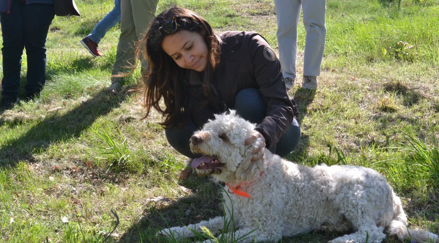 Tour di caccia al tartufo