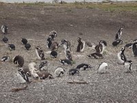 22年 マルティージョ島 行く前に 見どころをチェック トリップアドバイザー