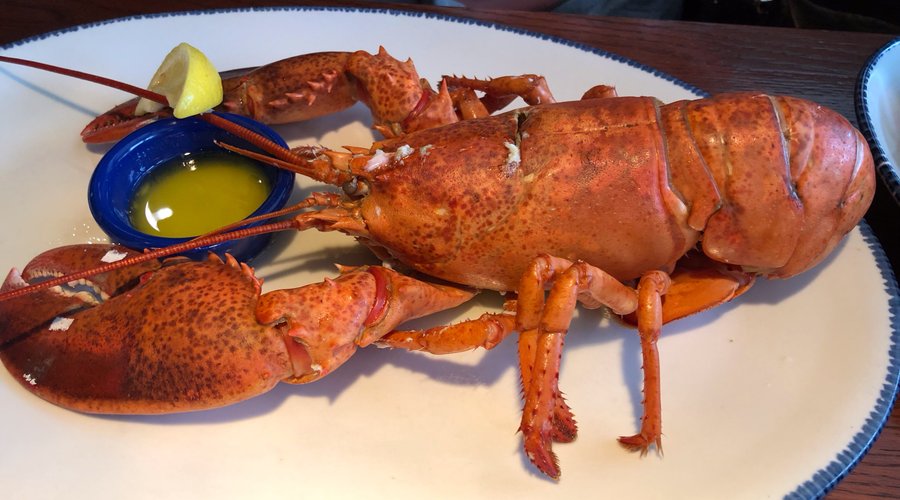Red Lobster