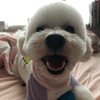 우ㅣㅎㅖ