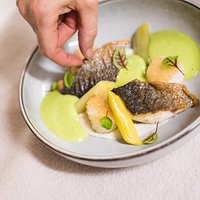 Bar grillé, crème de choux fleur & cresson