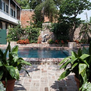 Our central courtyard oasis.