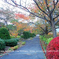 手宮植物園