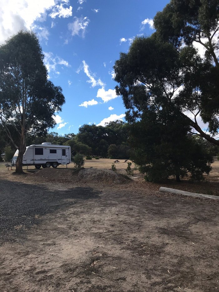 TREETOPS SCOUT CAMP - Campground Reviews (Riddells Creek, Australia)