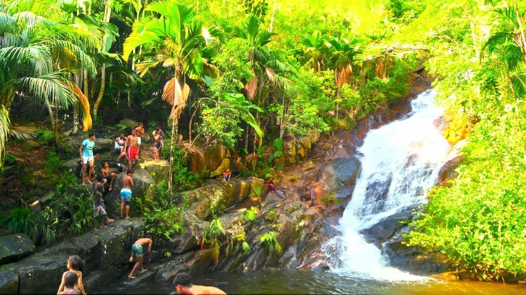 Sauzier Waterfall (Port Glaud): All You Need to Know BEFORE You Go