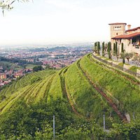 Fiore all'occhiello dell'azienda, la struttura che ospita la cantina ricorda un castello settecentesco