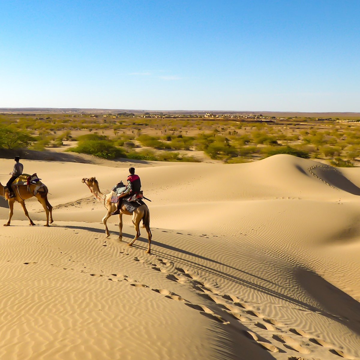 Thar Desert Location