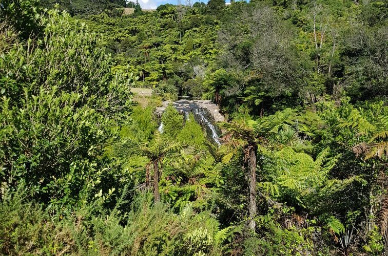 Owharoa Falls