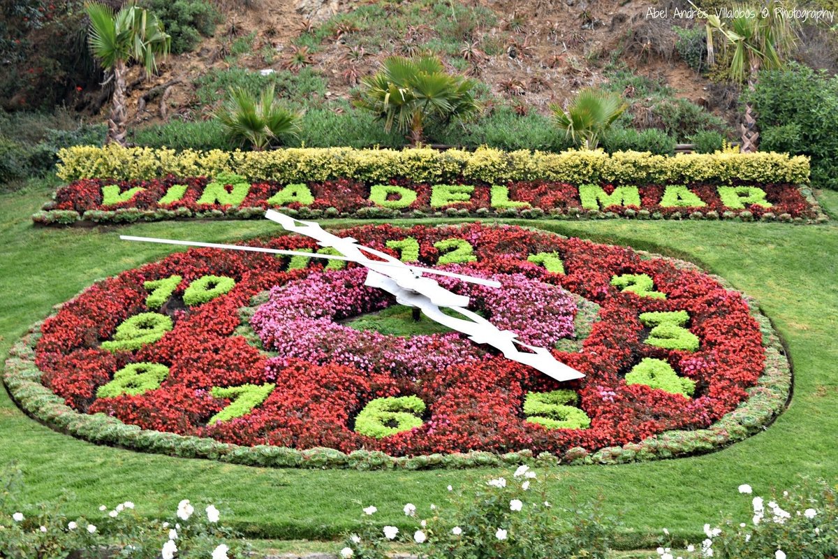 Flower Clock (Reloj de Flores) (Vina del Mar) - 2022 All You Need to Know  BEFORE You Go (with Photos) - Tripadvisor