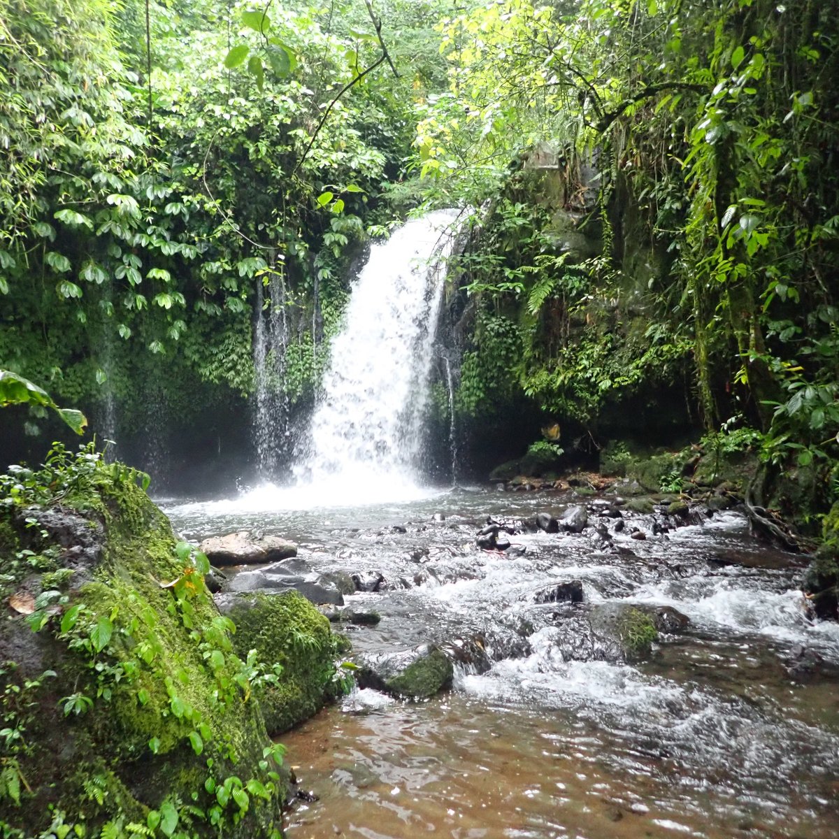 Yeh Ho Waterfalls (Jatiluwih) - All You Need to Know BEFORE You Go