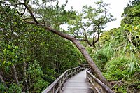 21年 東村 ふれあいヒルギ公園 行く前に 見どころをチェック トリップアドバイザー 21年 東村 ふれあいヒルギ公園 行く前に 見どころをチェック トリップアドバイザー