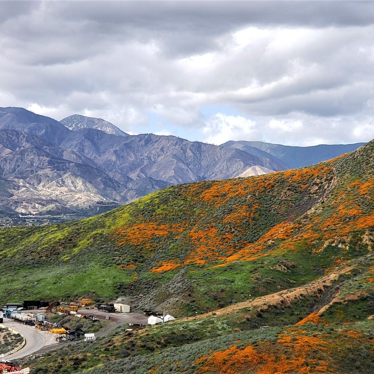 I Survived The Lake Elsinore Super Bloom 2019